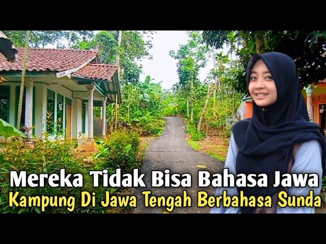 Mereka Berbahasa Sunda‼️ Masyarakat Kampung Di Jawa Tengah ini Tidak Bisa Bahasa Jawa