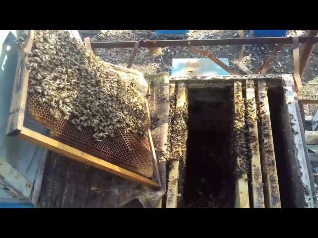 Распдод в феврале месяце. Юждаг