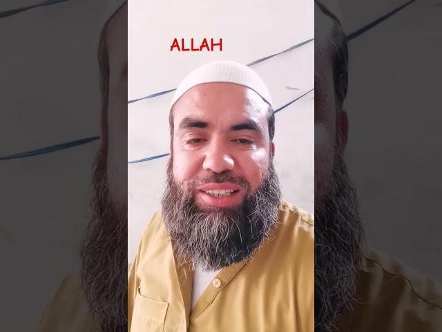 8 April 2025