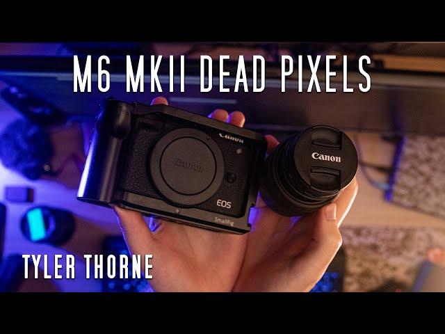 Dead Pixel Issue with Canon M6 Mk II | How Canon Fixed it