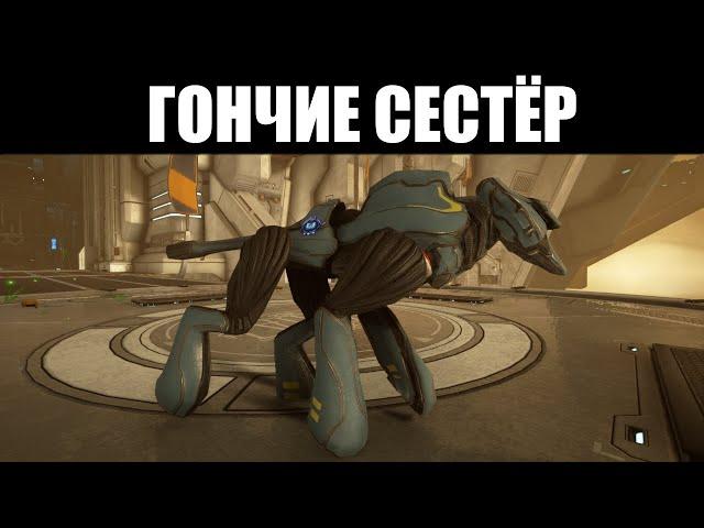 Warframe | ГОНЧИЕ | Разбор нового вида Компаньонов 