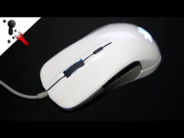 SteelSeries White Rival 300 Review (by veteran FPS player)