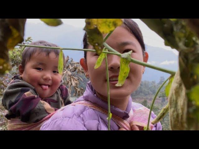 At Norbuling village #Arunachal pradesh| Tsangla#Tibetan vlogger