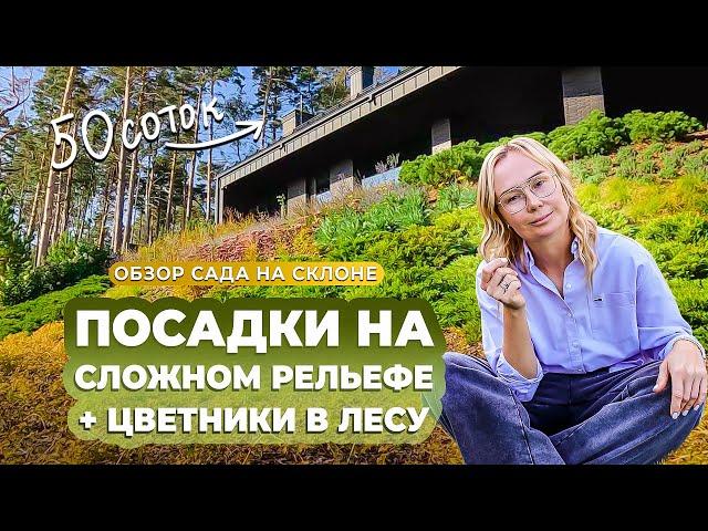 Посадки на сложном рельефе + цветник в лесу. Обзор сада на склоне.