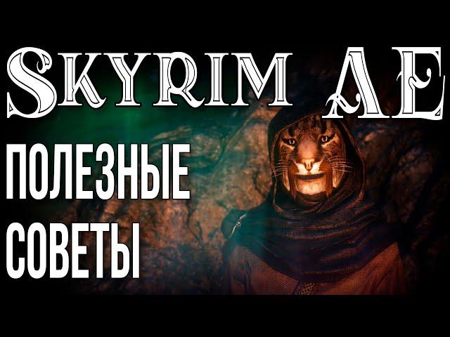 SKYRIM • ПОЛЕЗНЫЕ СОВЕТЫ • ФИШКИ • СЕКРЕТЫ • БАГИ