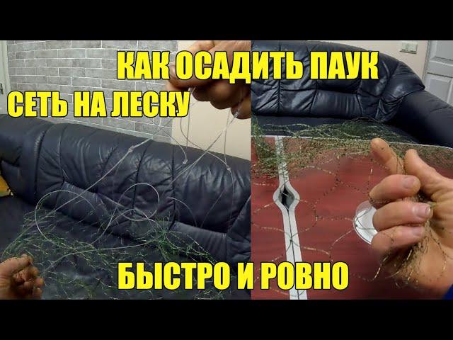 ОСАЖИВАЕМ НОВЫЙ ПАУК ИЗ ЛЕСКИ) КАК СДЕЛАТЬ РОВНО И БЫСТРО