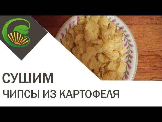 Картофельные чипсы с грибами на сушилке Изидри