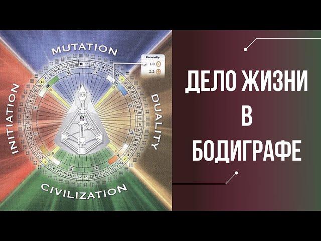 ГДЕ НАЙТИ ДЕЛО ЖИЗНИ В БОДИГРАФЕ / Четверть предназначения / ДИЗАЙН ЧЕЛОВЕКА