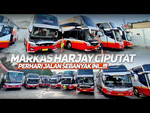 MAIN KE SARANGNYA KUDA TULUNGAGUNG‼️SEBANYAK INI YANG JALAN DALAM SEHARI DARI POL HARJAY CIPUTAT‼️