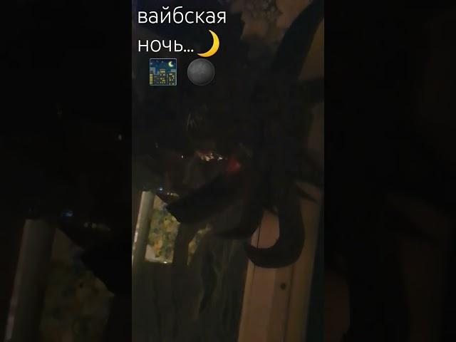 хех,взяла звук у драконерши(;#дракон #ночь#ilovedragons #драконынаруку #фурри #dragon #рек