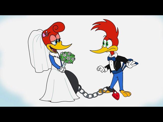 Woody Is In Love! | Woody Woodpecker