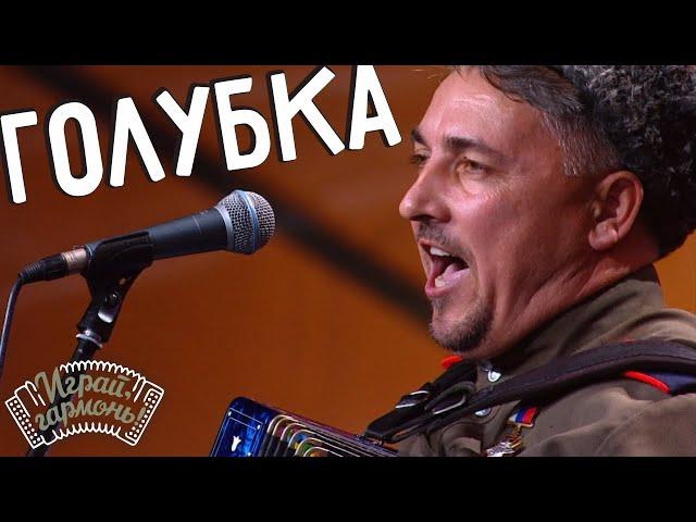 Играй, гармонь! | Алексей Ефимов (Волгоградская обл.) и Ансамбль Г. Заволокина «Частушка» | Голубка