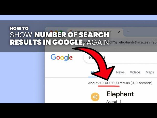 See Number of Search Results in a Google Search (2024)