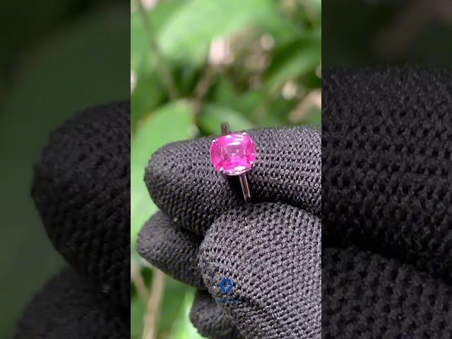 Unheated Hot Pink Sapphire: A Rare Treasure 