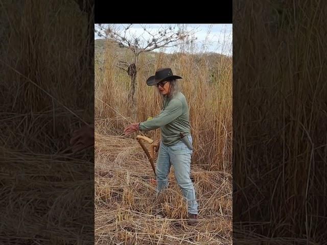How to Use a Scythe #shorts