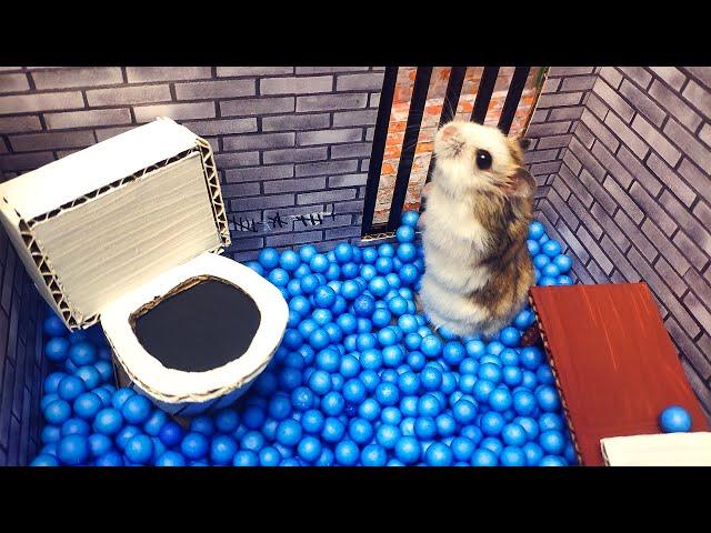 Scorpion maze with Traps hamster Police Pets  in Hamster stories