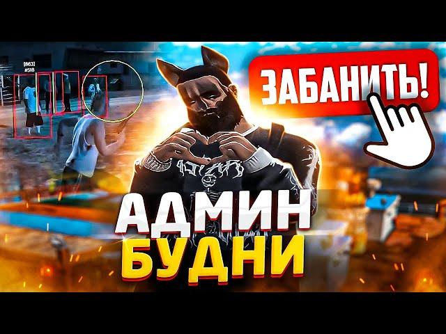 КОНФЛИКТ ИГРОКОВ С ФАМОЙ ГТА 5 РП - АДМИН БУДНИ GTA 5 RP