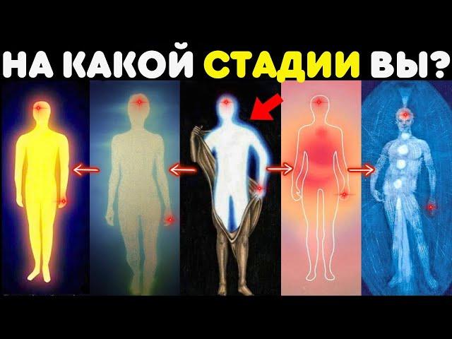 5 стадий духовного пробуждения | На какой стадии вы находитесь?