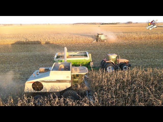 Harvesting Corn near Washington Court House Ohio | Gleaner Combines