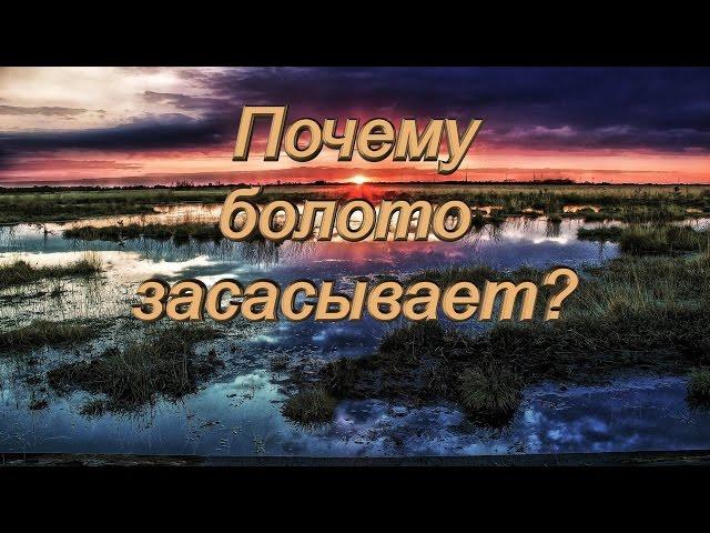 Почему болото засасывает? Анимированный видеоролик.