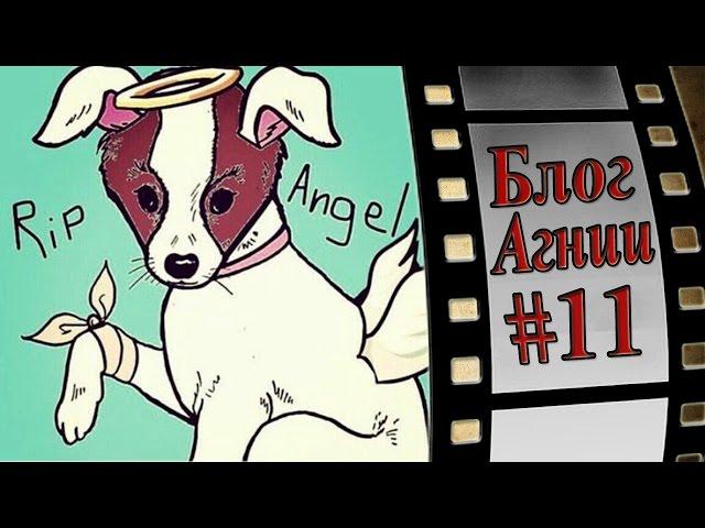 #ripangel - почему же столько истерик?! Блог Агнии # 11