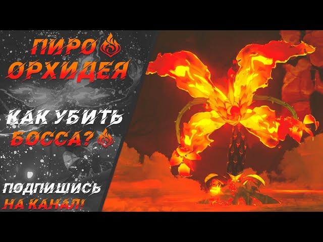 КАК УБИТЬ ПИРО ОРХИДЕЮ │ ГАЙД КАК УБИТЬ БОССА │ ГДЕ НАЙТИ ОРХИДЕЮ │ Геншин Имакт │ Genshin Impact