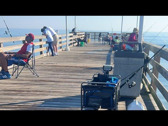 𝐀𝐝𝐯𝐞𝐧𝐭𝐮𝐫𝐞𝐬 𝐰𝐢𝐭 𝐈 𝐏𝐚𝐭𝐭𝐚 is live! Fishing the pier