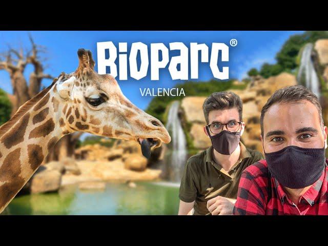 BIOPARC VALENCIA | Zoo-inmersión