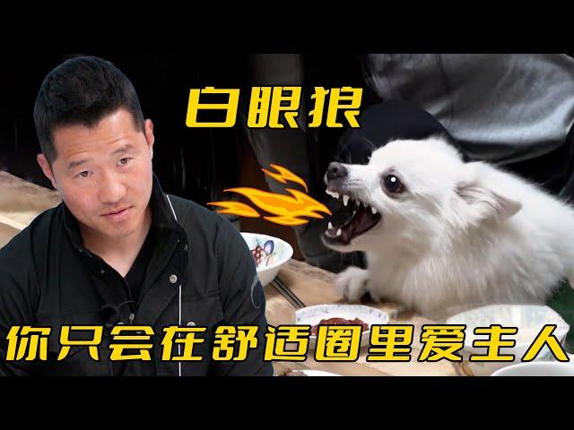 狗狗訓練中途咬傷主人，訓犬師猛踹兩腳嚇到它嘔吐，叫得比殺豬還慘