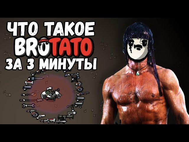 Что такое BROTATO за 3 минуты. Краткий обзор