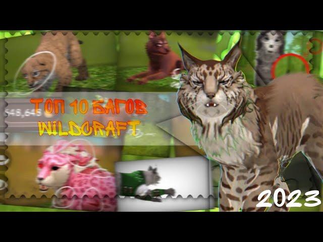 ТОП 10 БАГОВ в WILDCRAFT 2023 | wildcraft #32