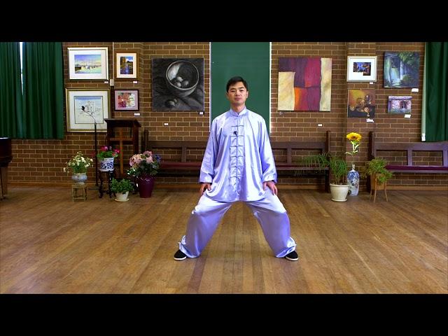 Tai Chi for Beginners (Lesson 1: Basic Training)