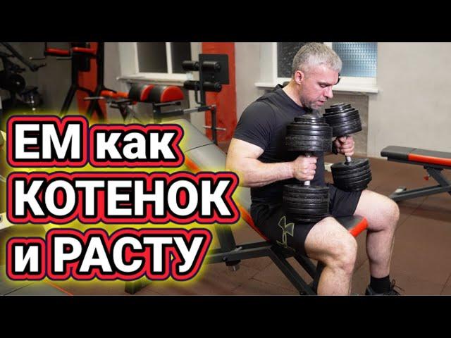 Бросил курить и наконец-то начал худеть! 1700 ккал в день! Очередная силовая тренировка