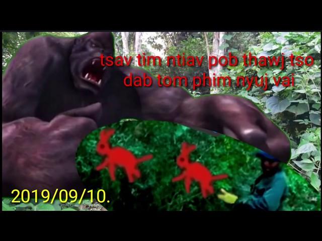 Tsav kim ntiav nplog pub tawj tso dab tom pim nyuj vais txaus ntsai heev/2019/09/10.