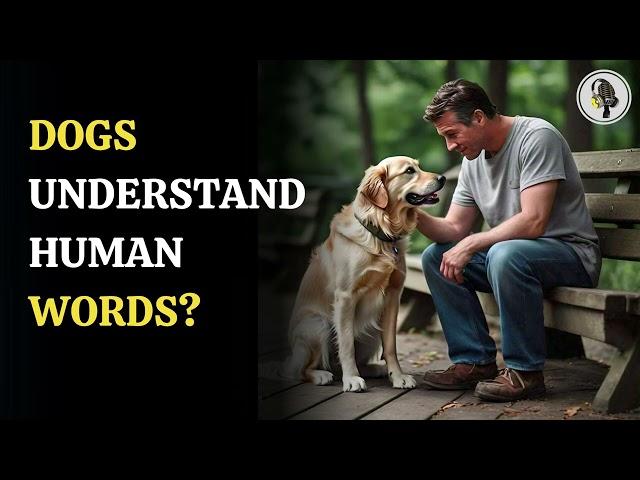 Dogs Understand Human Words? | WION Podcast