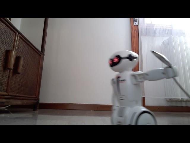 provo il robot silverlit