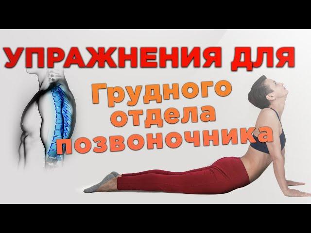 8 эффективных упражнений ЛФК для грудного отдела позвоночника. Лечебная физкультура дома