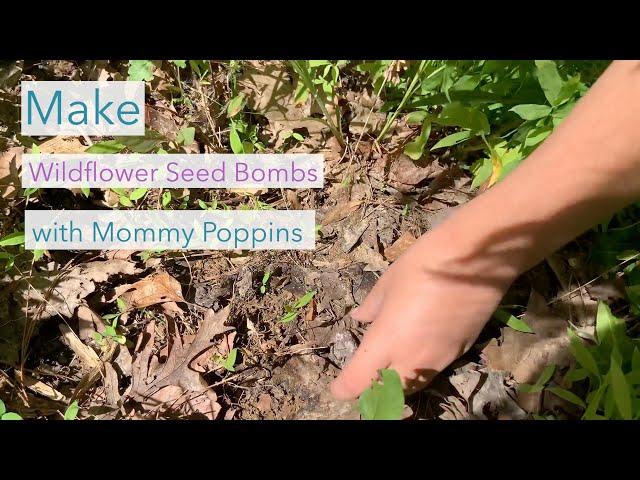 Make Wildflower Seed Bombs with Mommy Poppins