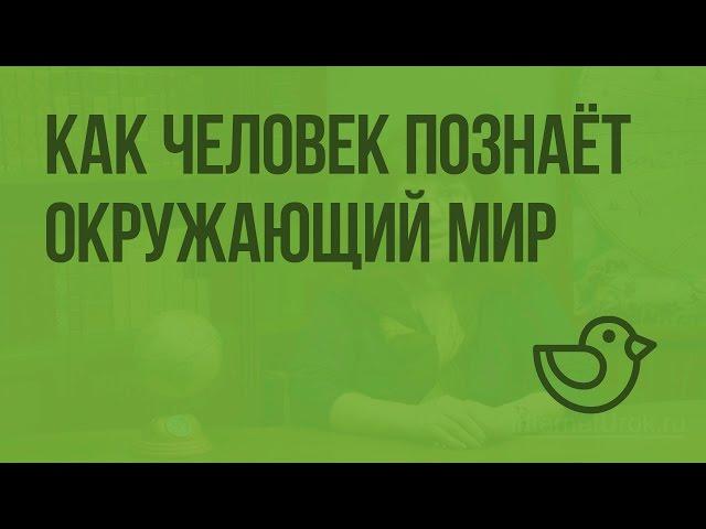 Как человек познает окружающий мир. Видеоурок по окружающему миру 1 класс