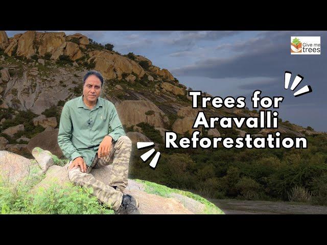 Trees for Aravalli Reforestation.