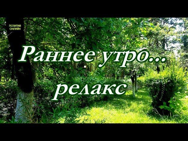 Раннее утро - Релакс, успокаивающая музыка, позитивный настрой на весь день