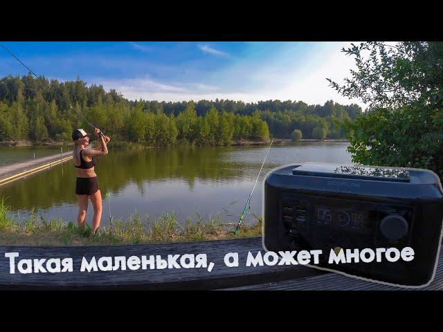 Электричество на природе, есть даже 220В, портативная зарядная станция EcoFlow River Mini Wireless