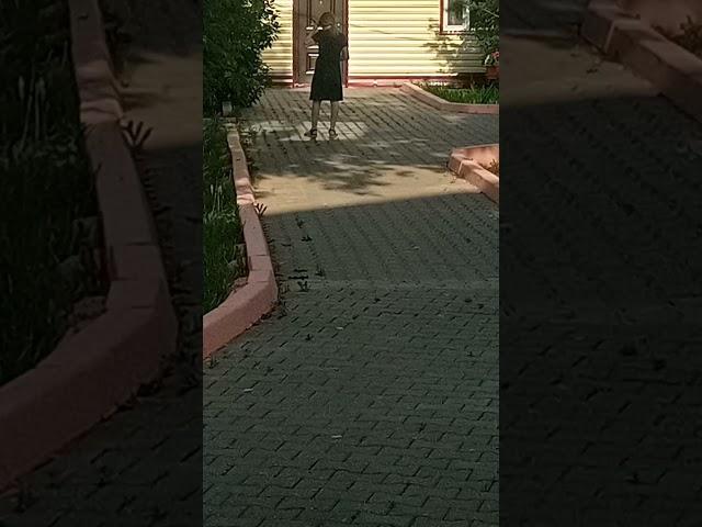 Көтен қыз