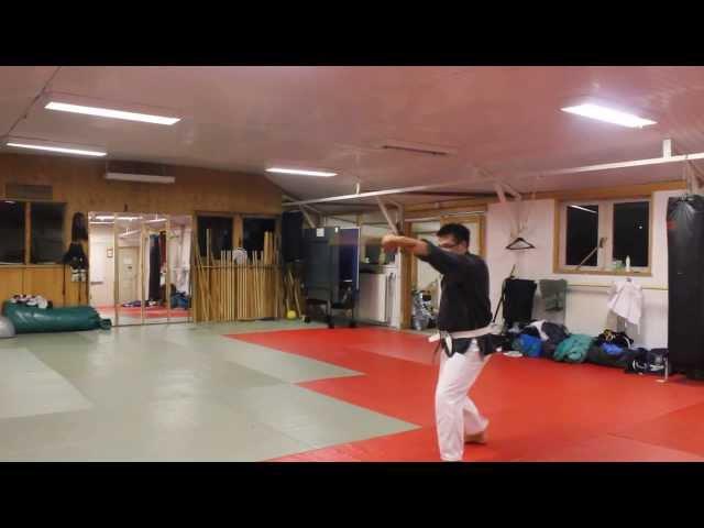 Kata - TUNQUA DAI ICHI (Tonfa dai Ichi) - Matayoshi KOBUDO