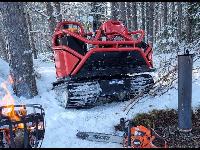 Järnhästen Essence i djup snö drar björkstockar