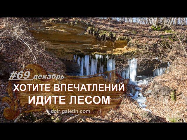 Хотите впечатлений - идите лесом. Ставрополь и его окрестности. Тайны природы. Скалы, пещеры, гроты