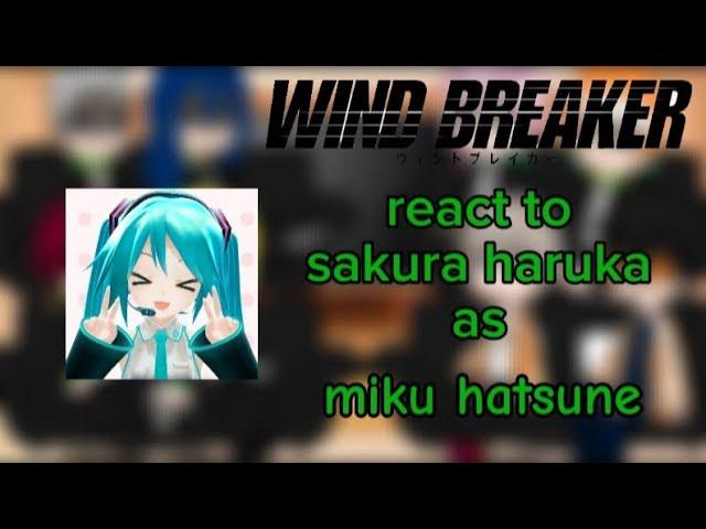 || Wind breaker || react to || Sakura Haruka as || Miku Hatsune ️‍ Part 1