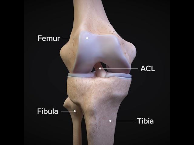 ACLtear.com - What is an ACL Injury?