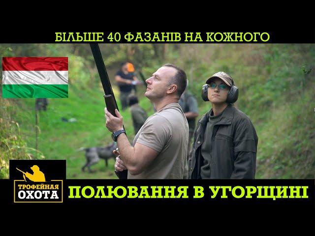 Більше 40 Фазанів на Кожного. Полювання в Угорщині. №42, ч.2 | Трофейне Полювання