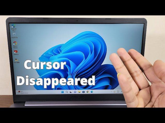 FIXED! - Mouse Cursor Disappears in Windows 11